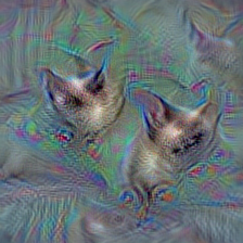 n02123394 Persian cat